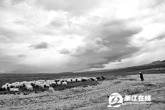 “盛開(kāi)的白天使”曾經(jīng)蹲點(diǎn)一個(gè)星期，就為拍這些云
