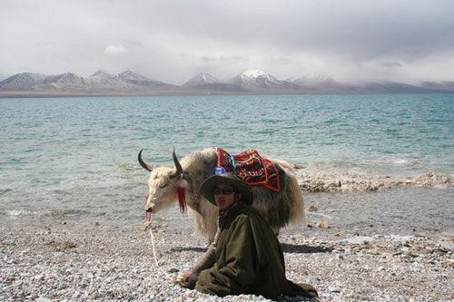 向往的圣地 在最好的時(shí)節(jié)去西藏旅游