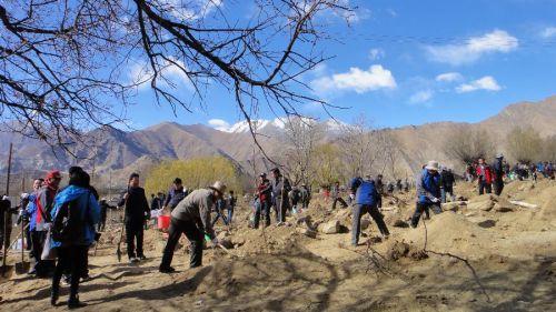 3月29日，援藏干部在拉薩市堆龍德慶縣羊達(dá)鄉(xiāng)通嘎村義務(wù)植樹。