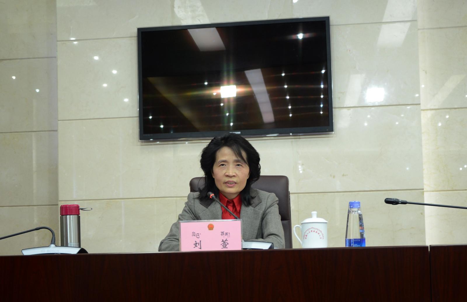 自治區(qū)政府副秘書長、政府新聞發(fā)言人劉萱.jpg