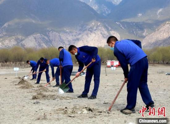 林芝市巴宜區(qū)森林消防中隊志愿服務隊正在揮鍬鏟土。　西繞拉翁 攝