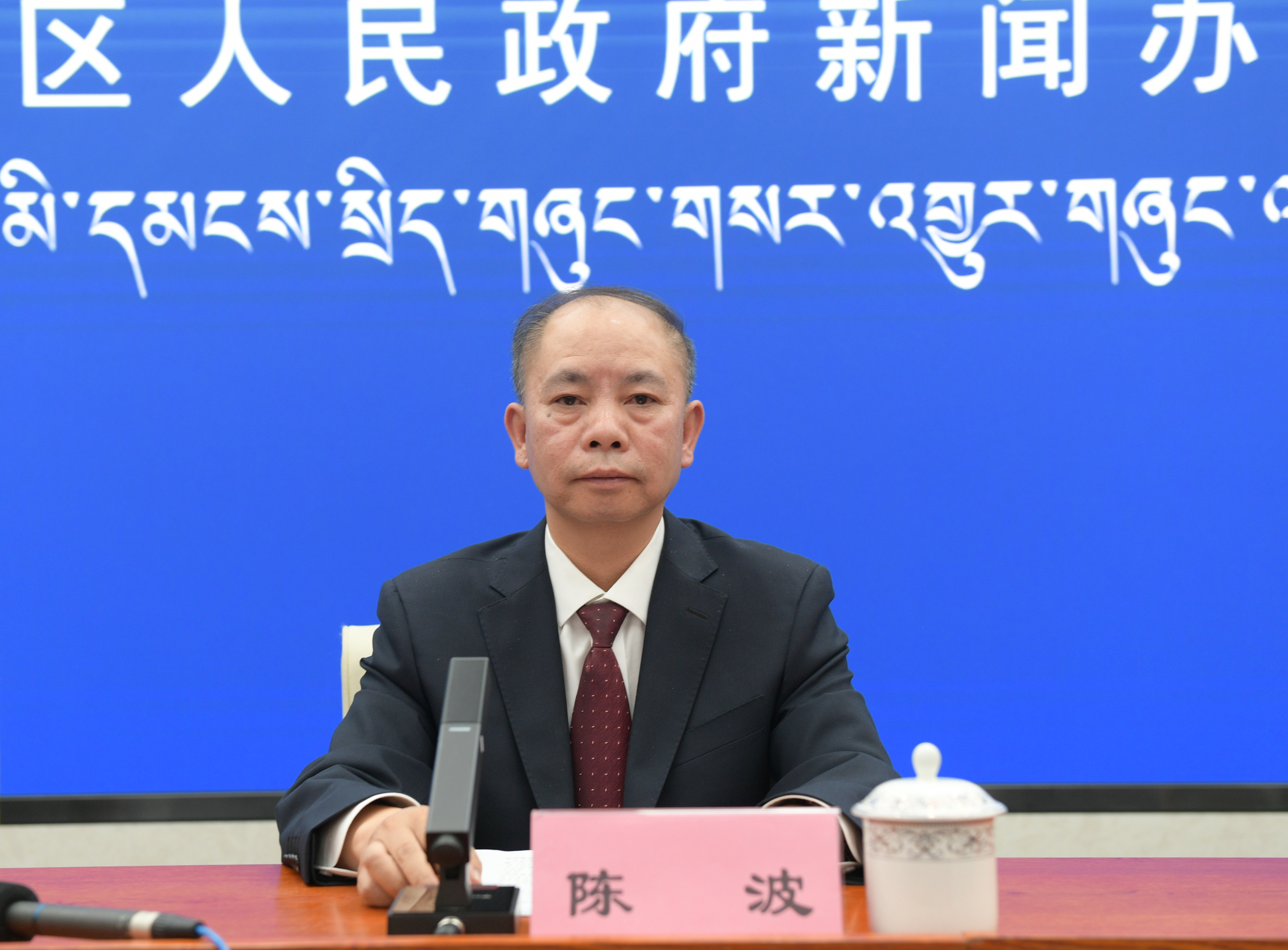 發(fā)言人：國網(wǎng)西藏電力有限公司董事、黨委副書記 陳波.jpg
